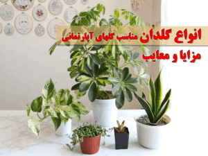 انواع گلدان مناسب کاشت گیاهان