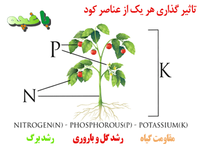 عناصر اصلی کود-کوددهی به گیاهان