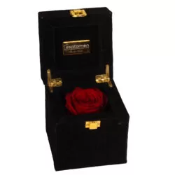 خرید و قیمت                                     گل رز جاودان اسپیتامن مدل Treasure Box