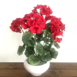 خرید و قیمت                                     گلدان به همراه گل مصنوعی مدل شمعدانی