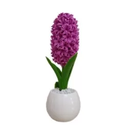 خرید و قیمت                                     گلدان به همراه گل مصنوعی مدل سنبل son152541
