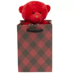 خرید و قیمت                                     ست هدیه عروسک طرح خرس کد BT11479