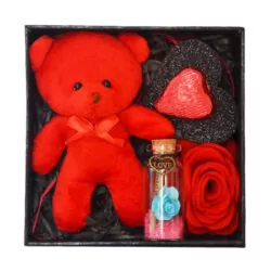 خرید و قیمت                                     ست هدیه عروسک مدل خرس