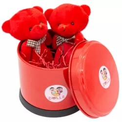 خرید و قیمت                                     ست هدیه عروسک بی جی دالز مدل خرس