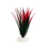 خرید و قیمت گیاه تزیینی آکواریوم کد 0011