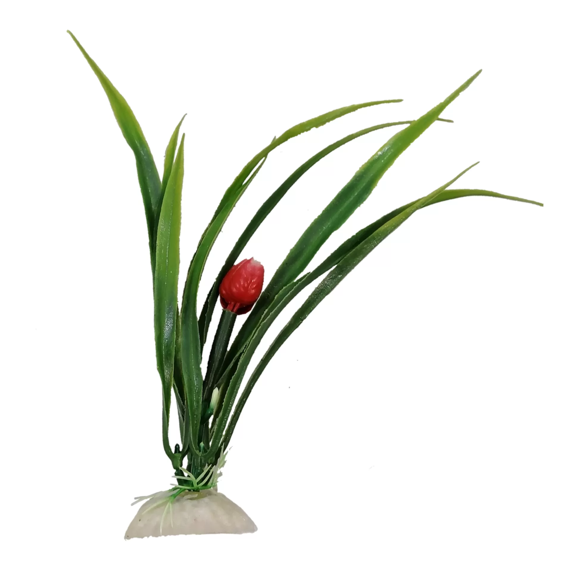 خرید و قیمت گیاه تزیینی آکواریوم مدل ساژیتا گلدار