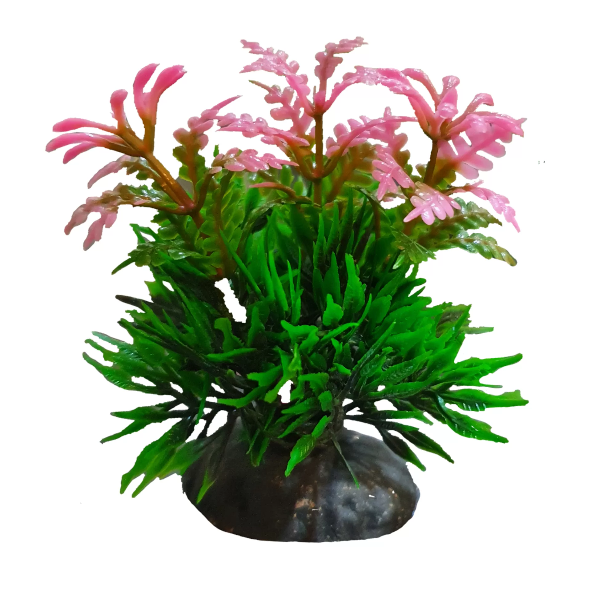 خرید و قیمت گیاه تزیینی آکواریوم مدل گل