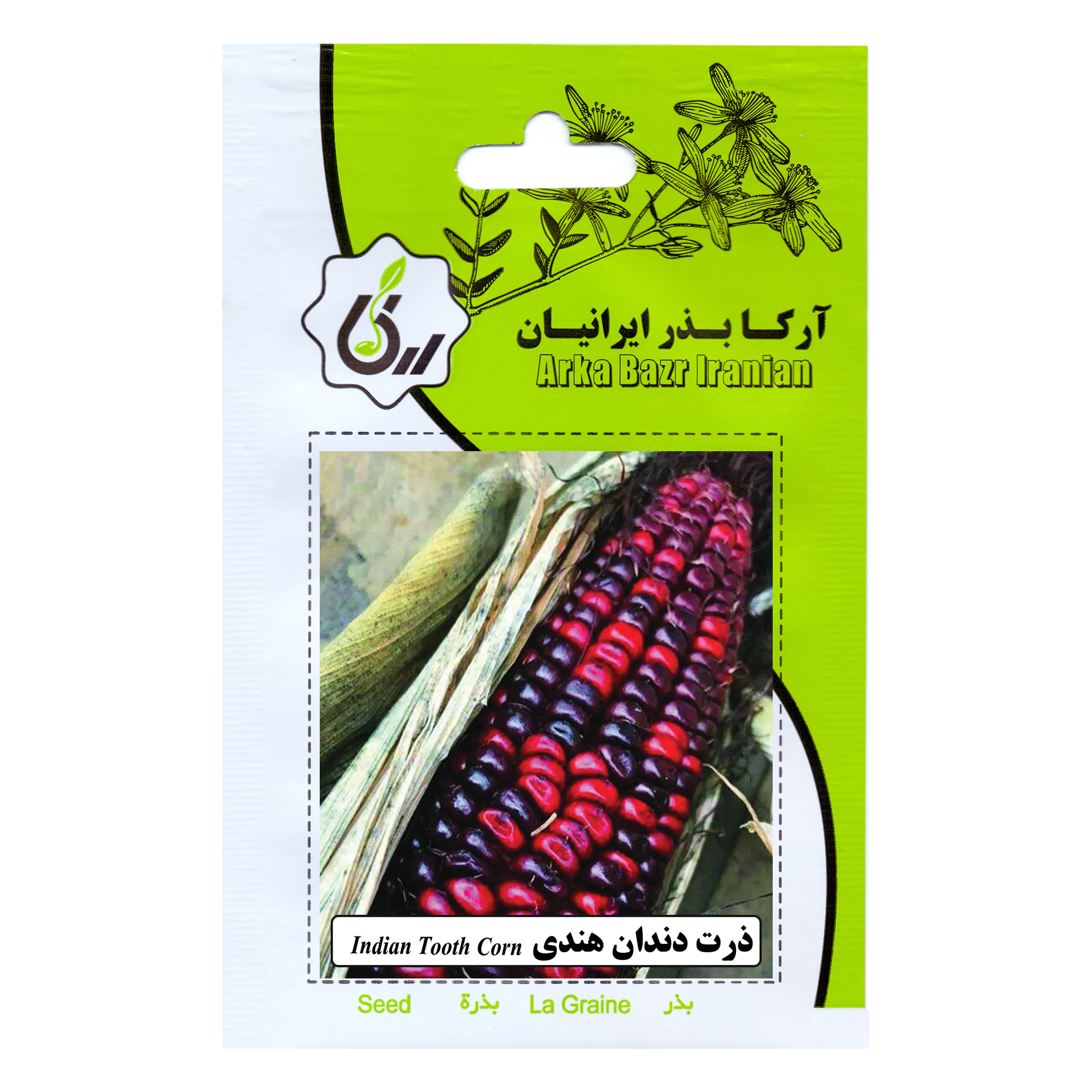 بذر ذرت دندان هندی آرکا بذر ایرانیان کد ARK-132