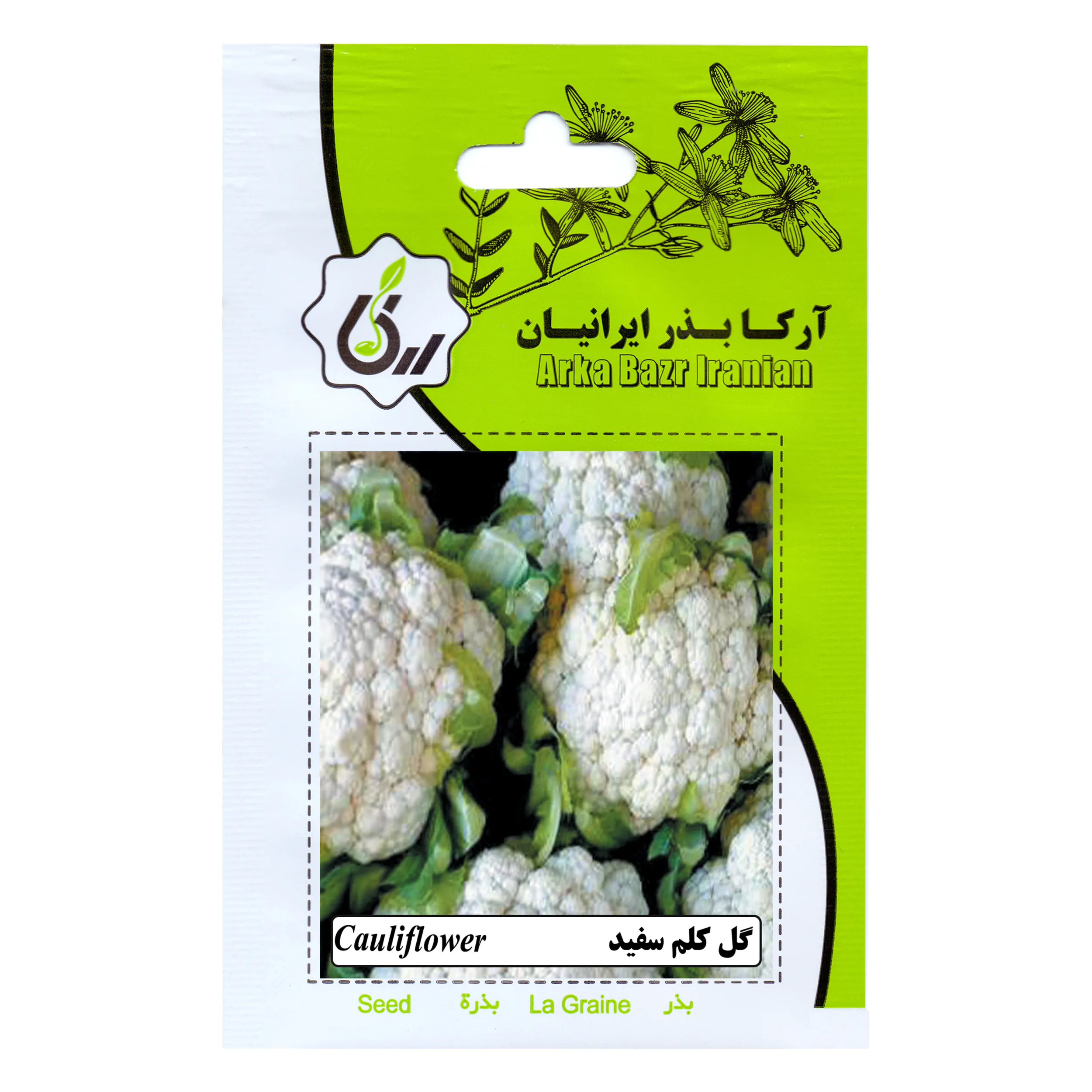 بذر گل کلم سفید آرکا بذر ایرانیان کد ARK-145