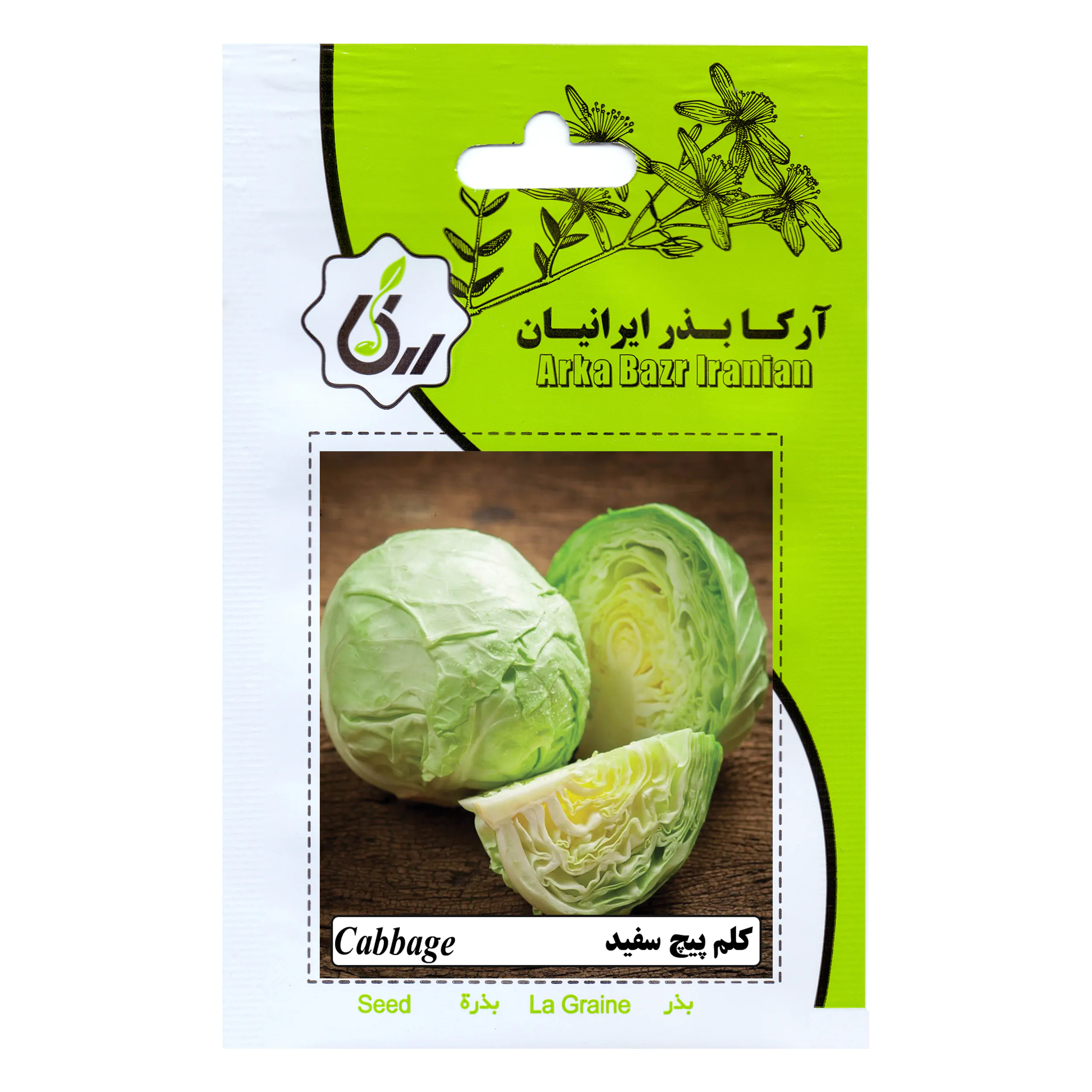 بذر کلم پیچ سفید آرکا بذر ایرانیان کد ARK-130