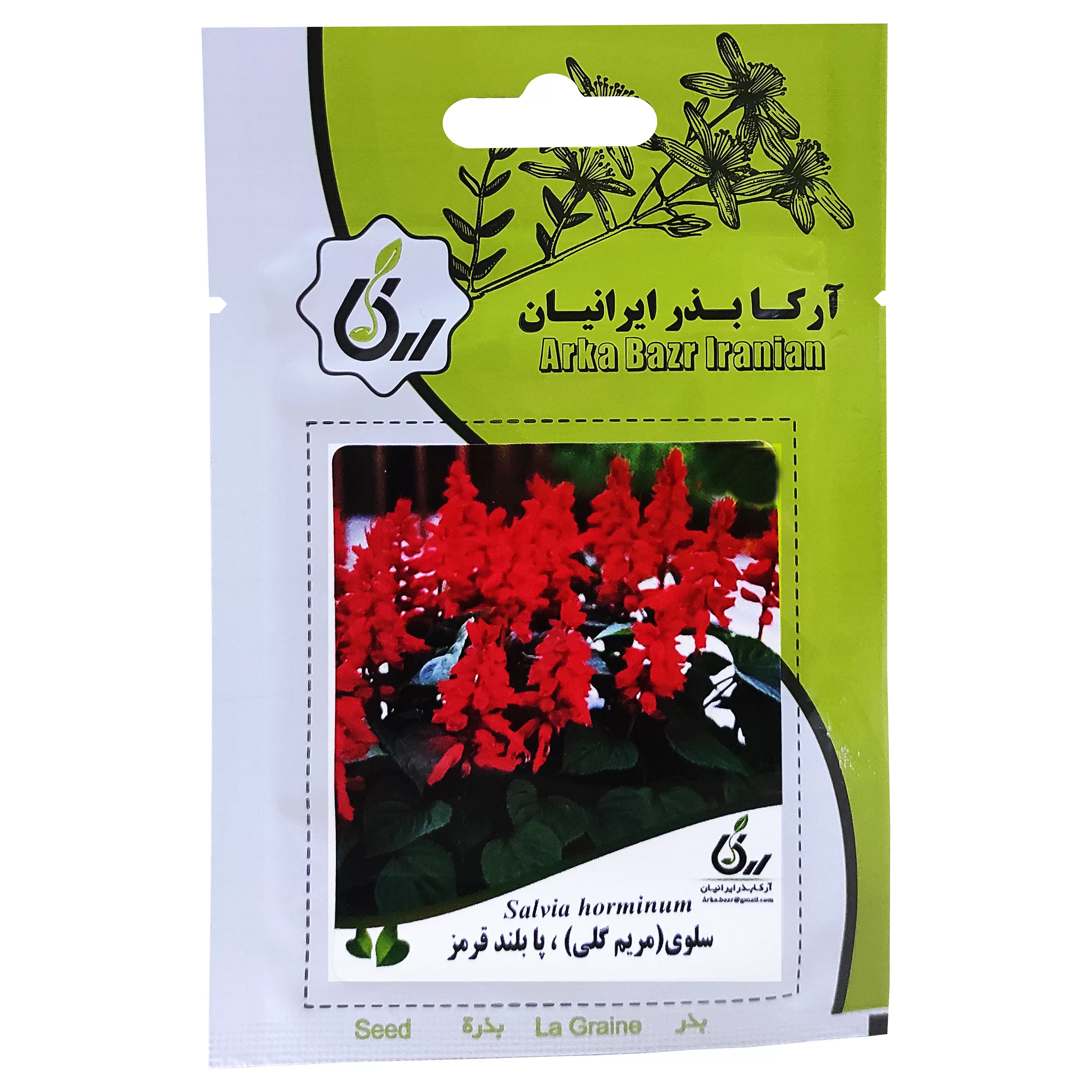 بذر گل سلوی مریم گلی پامتوسط قرمز آرکا بذر ایرانیان کد ARK-089