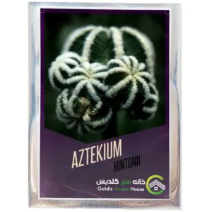 بذر کاکتوس ازتکیوم هینتونی خانه سبز گلدیس کد 18