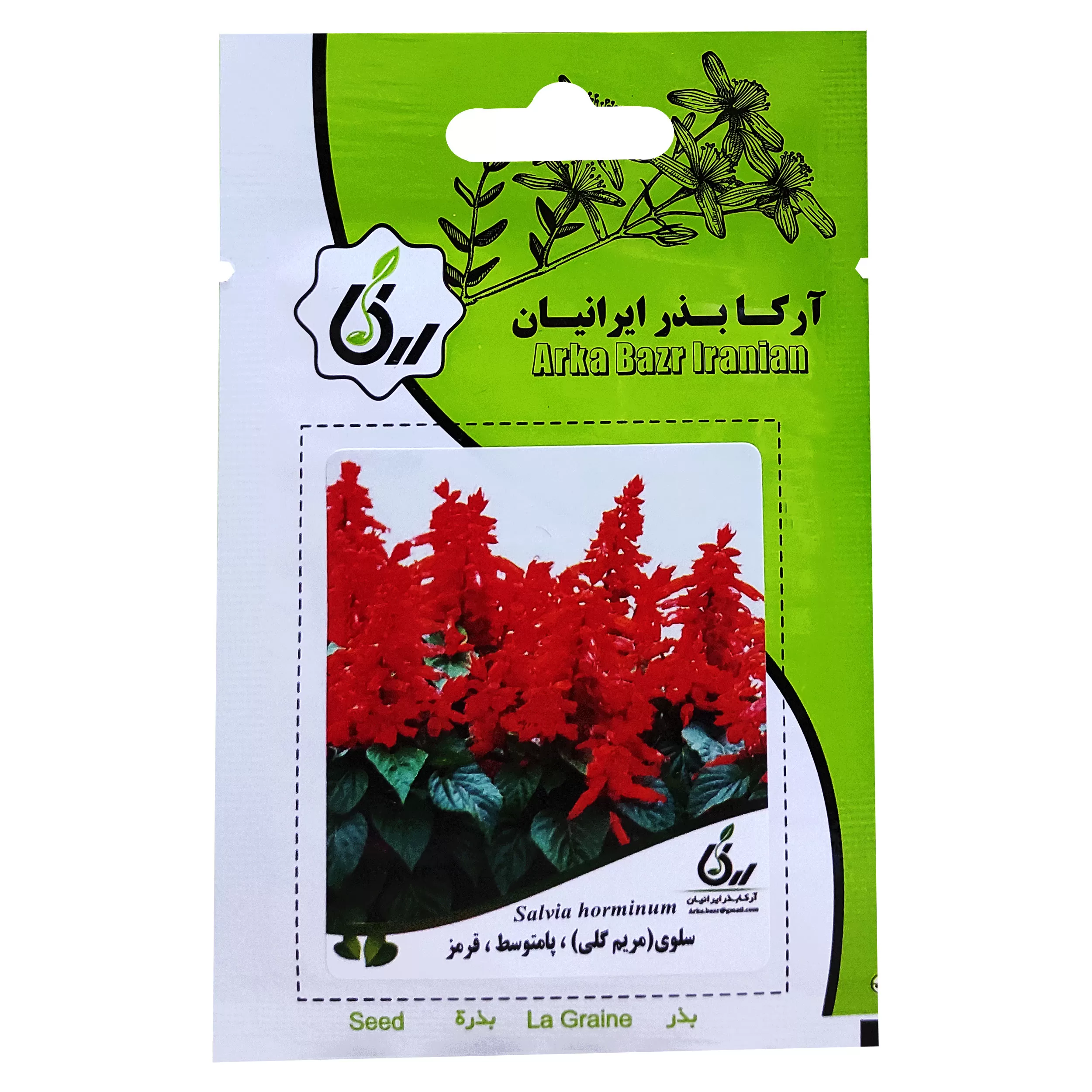بذر گل سلوی مریم گلی پابلند قرمز آرکا بذر ایرانیان کد ARK-061