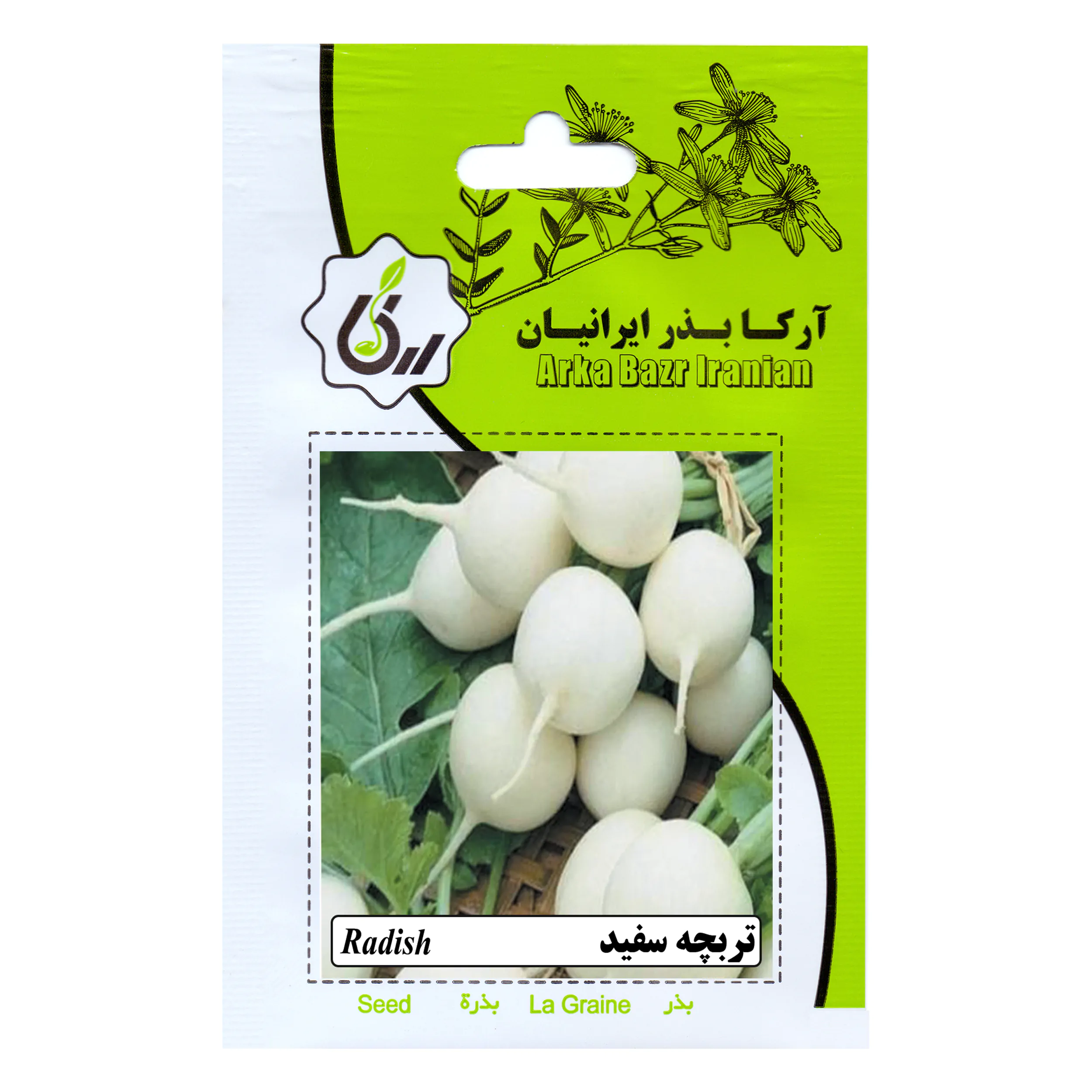 بذر تربچه سفید آرکا بذر ایرانیان کد ARK-189