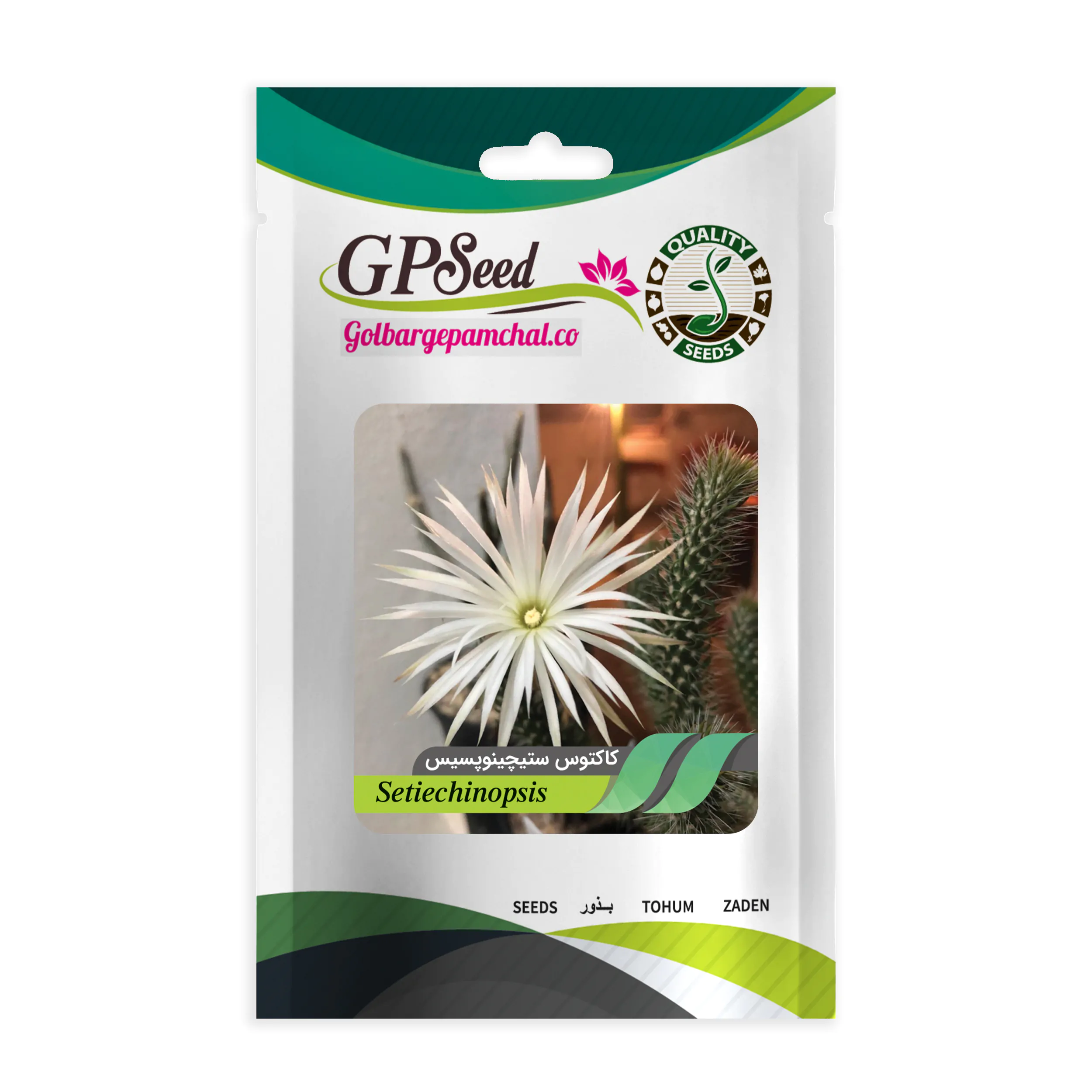 بذر کاکتوس ستیچینوپسیس گلبرگ پامچال کد GPF-186