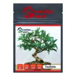 بذر بنسای اکالیپتوس سانیا سید مدل D6