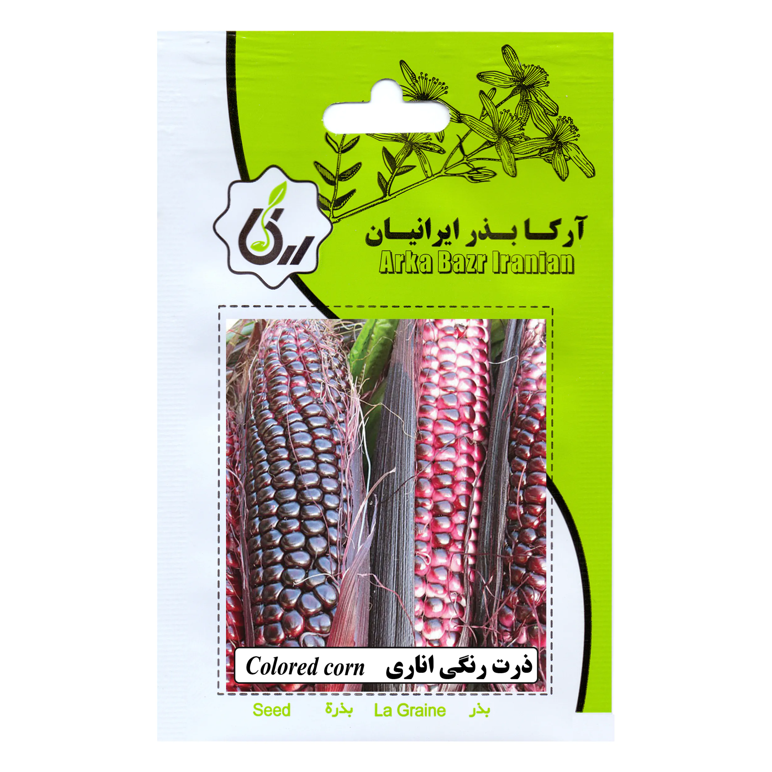 بذر ذرت رنگی اناری آرکا بذر ایرانیان کد ARK-146