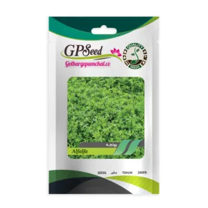 بذر یونجه گلبرگ پامچال کد GPF-209