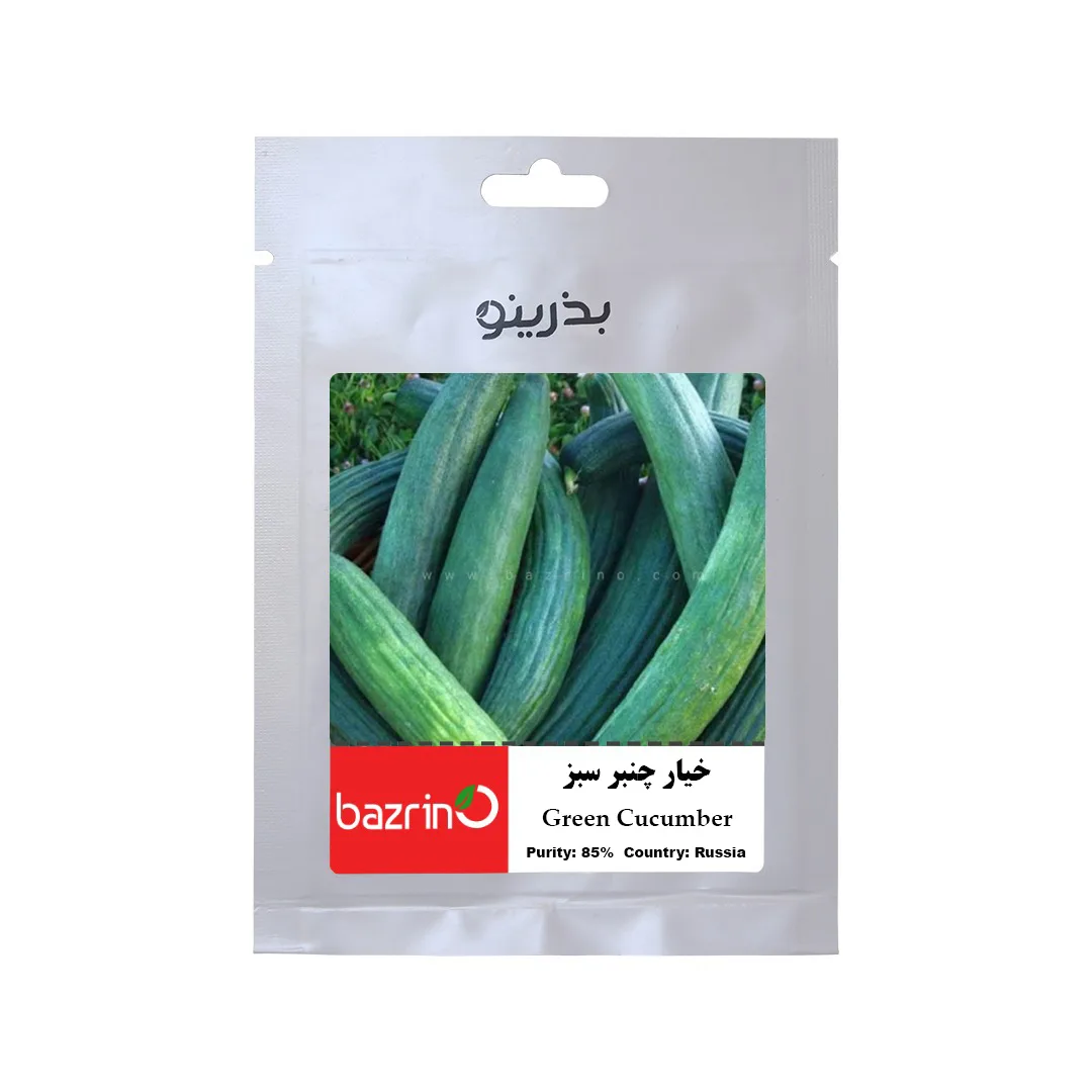 بذر خیار چنبر سبز بذرینو کد BZNO-250